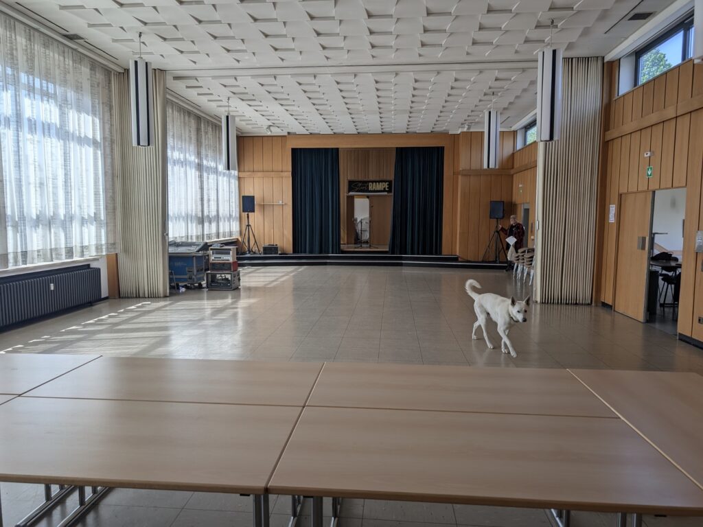 Foto: Saal Totale